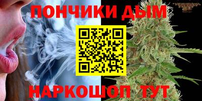 ПСИЛОЦИБИНОВЫЕ ГРИБЫ Аргун