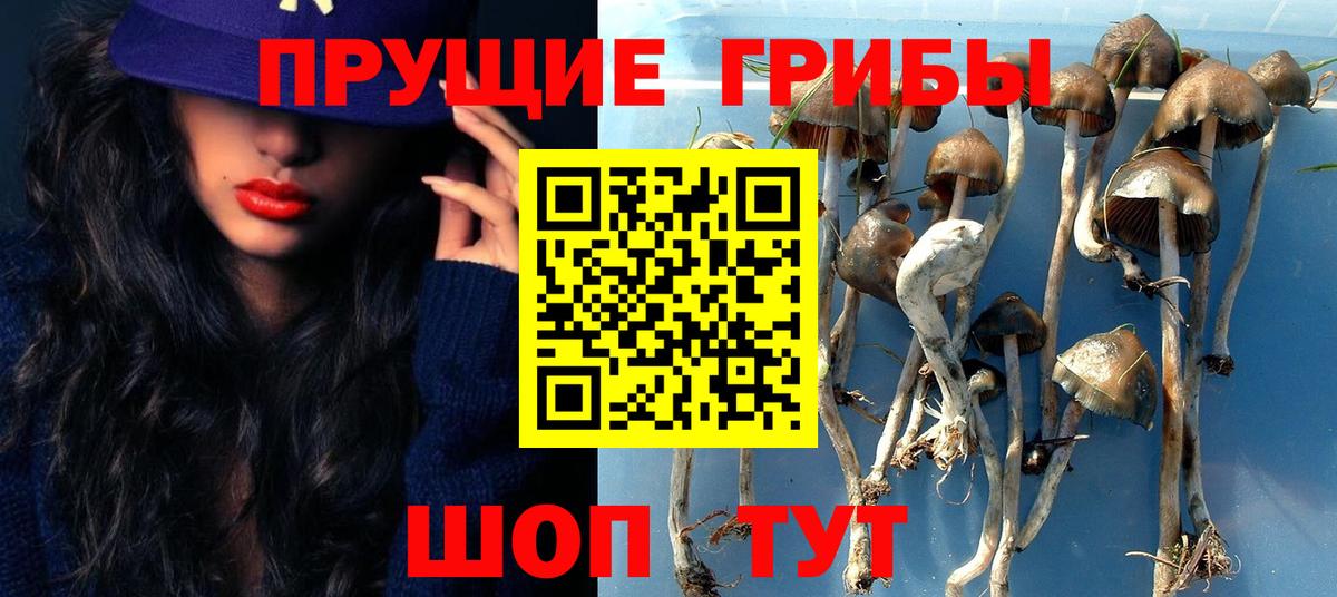 Псилоцибиновые грибы Magic Shrooms  Вход с VPN  Псилоцибиновые грибы ЛСД  Брянск 